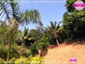 MadeinMycountry-India-MadeinMycountryIndia-MadeinMycountry-Asia-MadeinMycountryIN