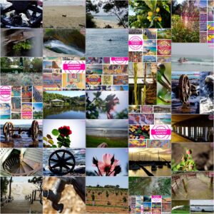 Made in Oceania! MadeinMycountry is a global platform that celebrates and supports local history, culture, art and nature conservation efforts. For two decades, we have been sponsoring local museums, cultural organizations, travel destinations, historical sites and various cultural events around the world.